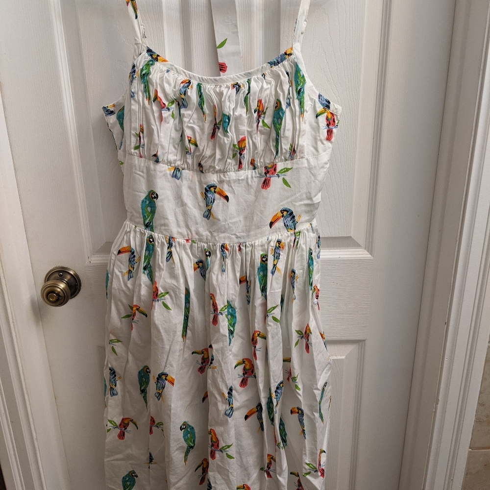 Custom Hearts and Found Parrots